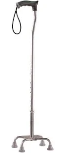 Walking Stick